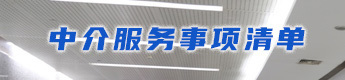 中介服務事項清單